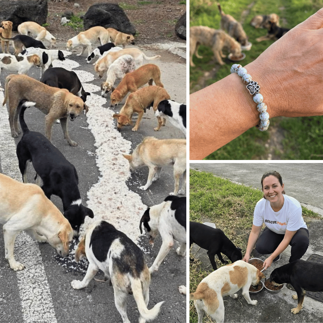 Rescue Paws feeding operations and bracelet