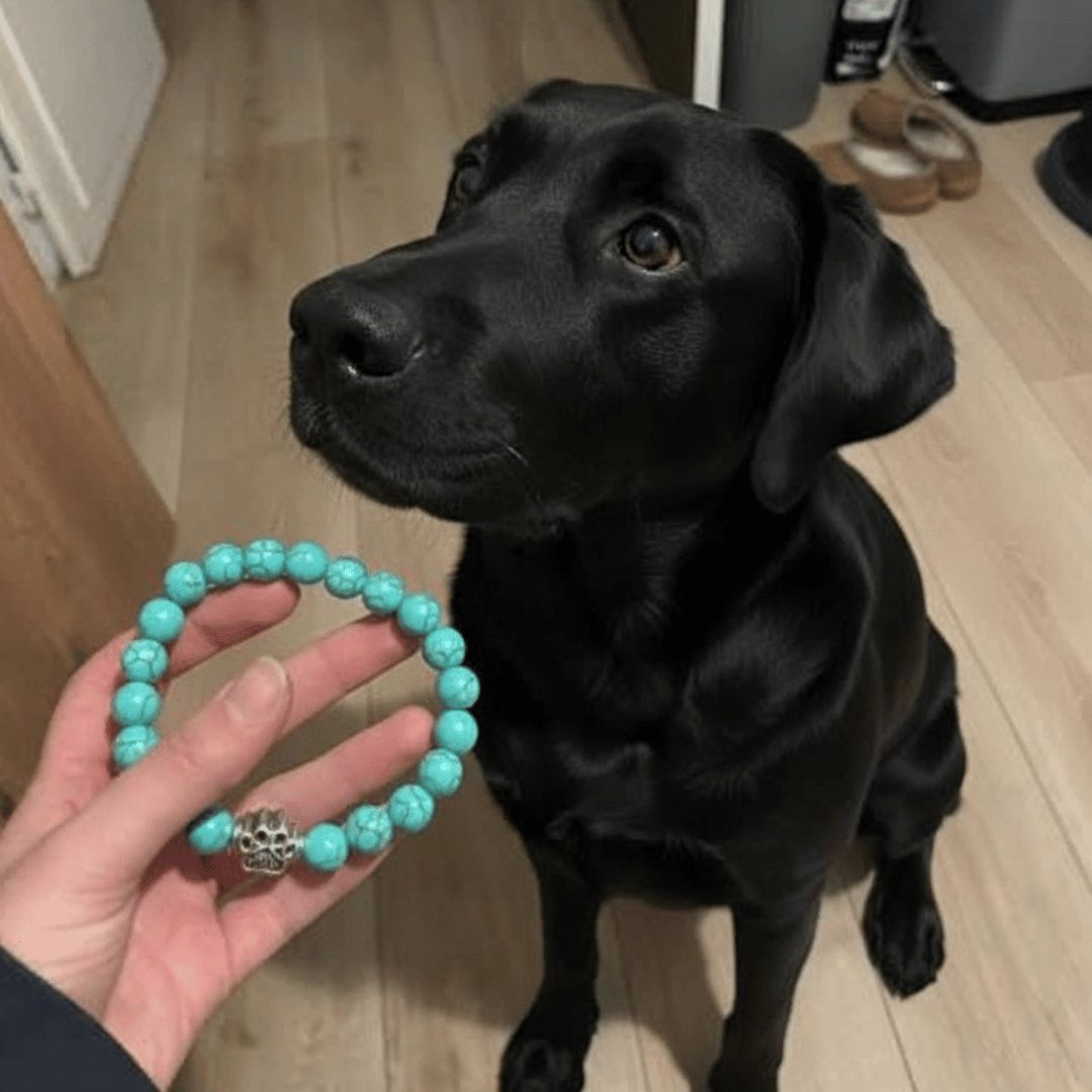 Rescue Paws bracelets