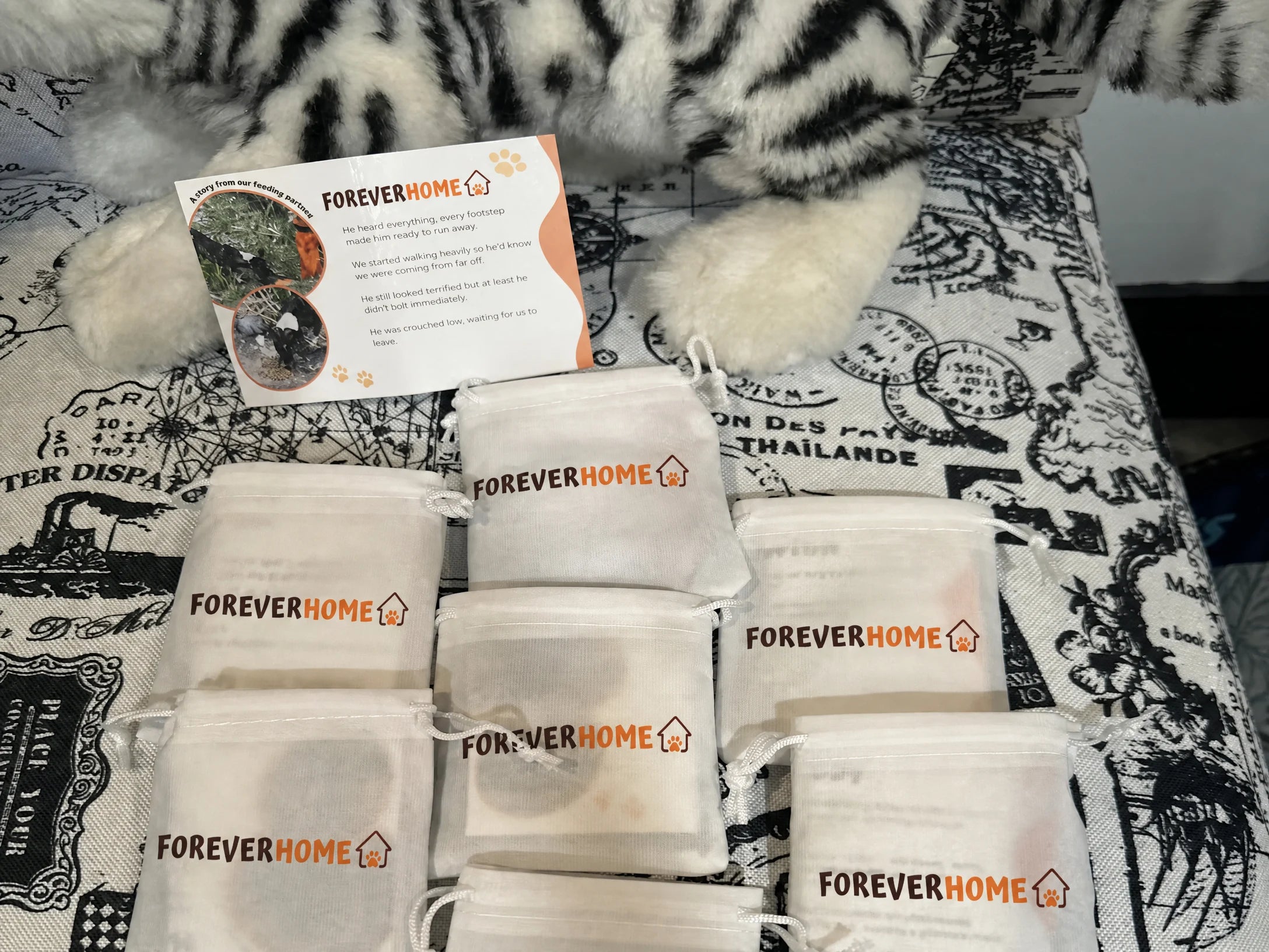 Customer review photo from Kelly R.